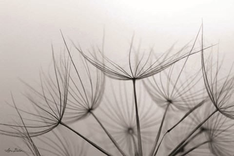 Framed Love is a Delicate Flower Print