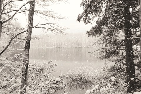 Framed Silence is Beautiful Print