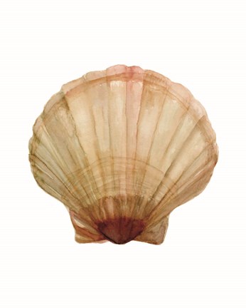 Framed Neutral Shell Collection 2 Print