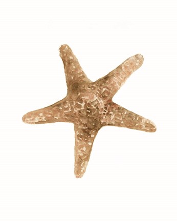 Framed Neutral Shell Collection 3 Print