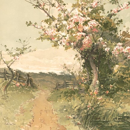 Framed Country Pond 5 Print