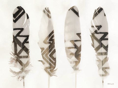 Framed Feathers 1 Print