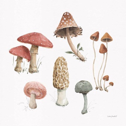 Framed Mushroom Medley 03 Print