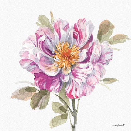 Framed Obviously Pink 04A Print