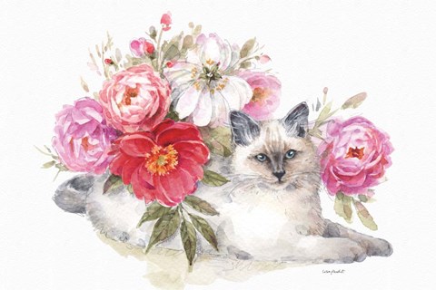 Framed Obviously Pink 21A Print