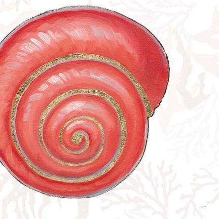 Framed Shimmering Shells VII Print