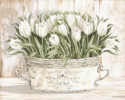 Framed Tulips in White Chipped Pail Print