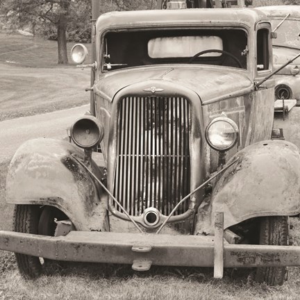 Framed Seen Better Days II Print