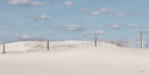 Framed White Sandy Shore Print