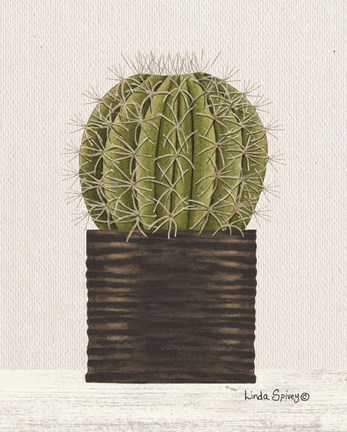 Framed Potted Cactus Print