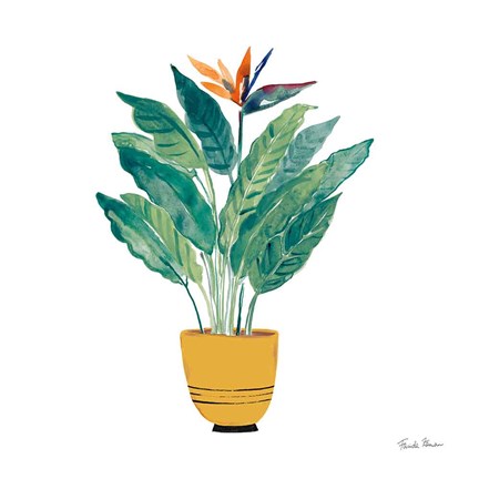 Framed Potted Jewels III Print