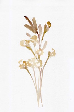 Framed Farmhouse Wheat &amp; Cotton Print