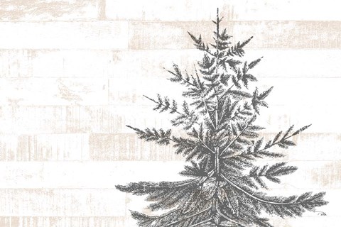 Framed Lake Resort Print