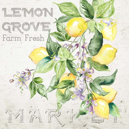 Framed Lemon Grove II Print