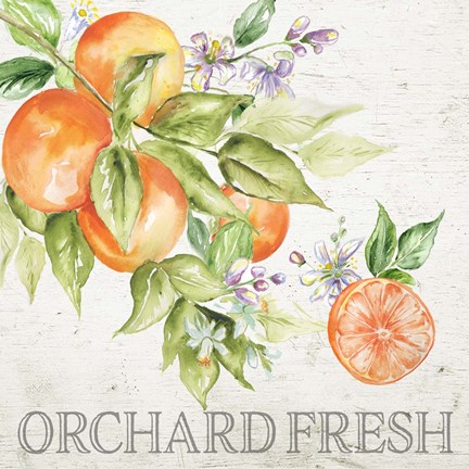 Framed Lemon Grove IV Print