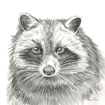 Framed Watercolor Pencil Forest VI-Raccoon Print