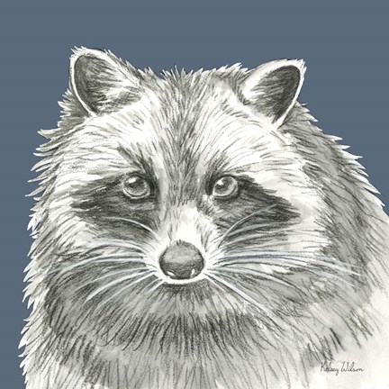 Framed Watercolor Pencil Forest color VI-Raccoon Print