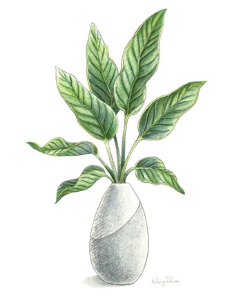 Framed Potted Exotics IV Print