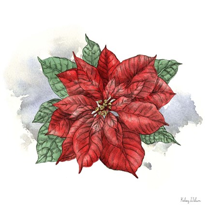 Framed Winter Poinsetta I Print