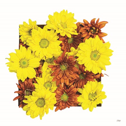 Framed Floral Pop III Print