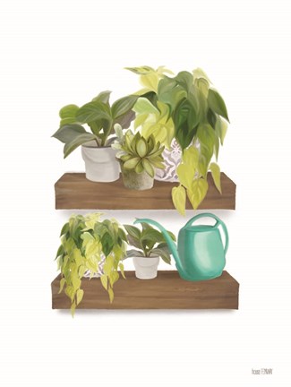 Framed Plant Lover Shelves Print