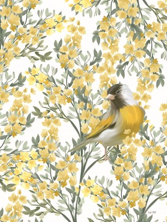 Framed Yellow Spring Finch Print