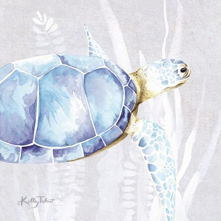 Framed Sea Turtle I Print