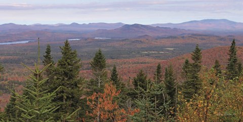 Framed Adirondack Panorama Print