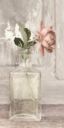 Framed Cottage Peach Rose Print