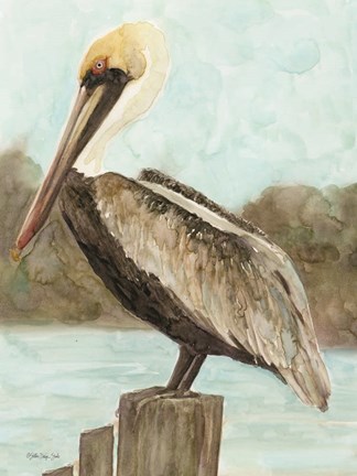 Framed Brown Pelican 3 Print