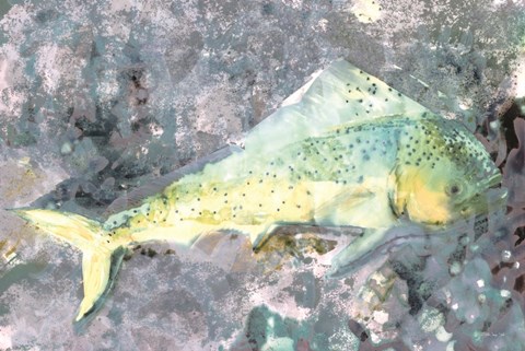 Framed Under the Sea 1 Print