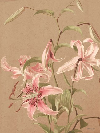 Framed Antique Botanical Collection 3 Print