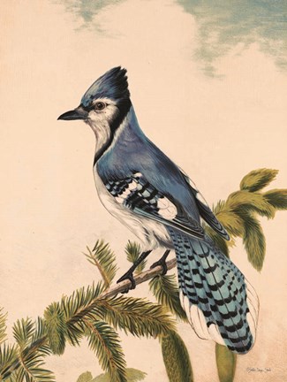 Framed Bluebird on Evergreen Print