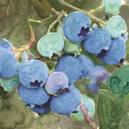 Framed Blueberries 2 Print