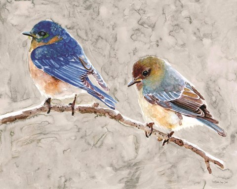 Framed Eastern Bluebirds 1 Print
