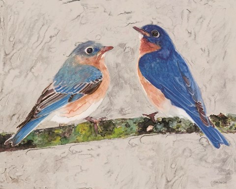 Framed Eastern Bluebirds 2 Print