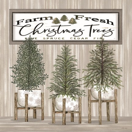 Framed Potted Christmas Trees Print