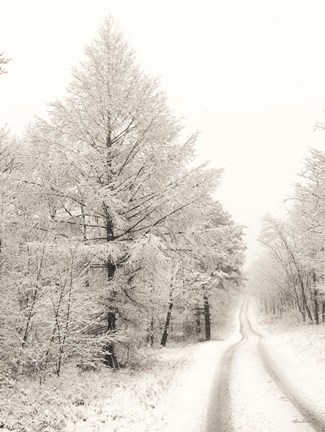 Framed Berry Mountain Road Print