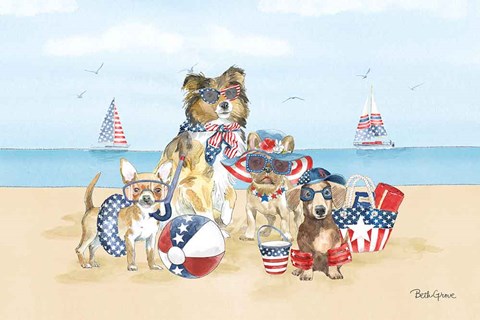 Framed Patriotic Paws I Print