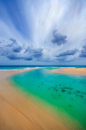 Framed Emerald Dreams Print