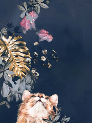 Framed Pet Couture 3 Print