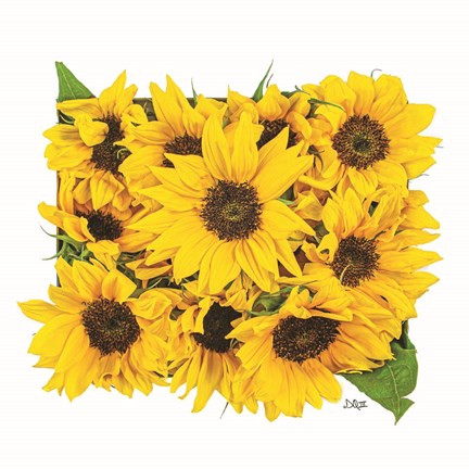 Framed Sunflower Bouquet Print
