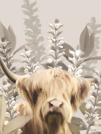 Framed Hairy Highland in the Field Print