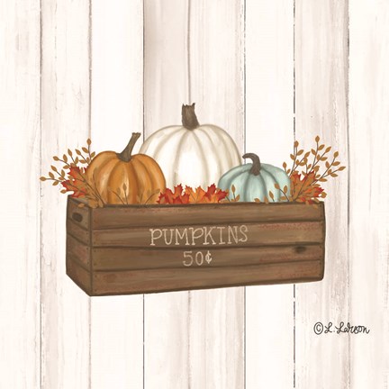 Framed Pumpkins in Box Print