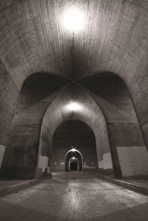 Framed Beneath the State Street Bridge Print