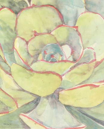 Framed Succulent Bloom 2 Print