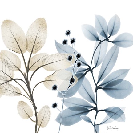 Framed Solar Opposites 1 Print