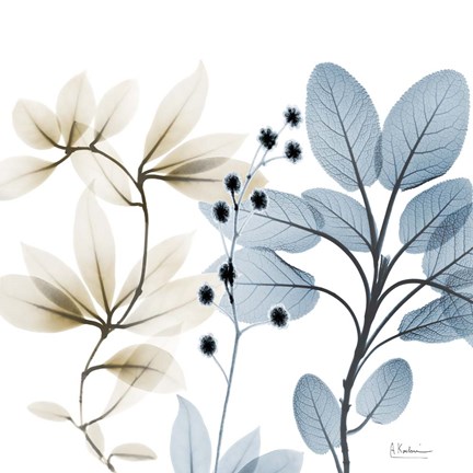 Framed Solar Opposites 2 Print