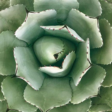Framed Cactus Verde II Green Print