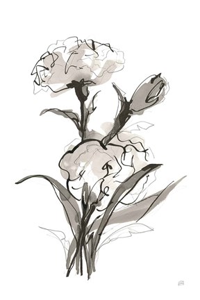Framed Carnation II Print